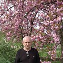 ���� ���������, ���������, 65 ��� - ��������� 6 �������� 2018 � ������ ���� ����������