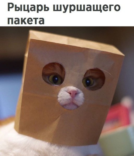    - 27  2018  16:56