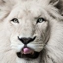  Armen,  -  17  2019   m