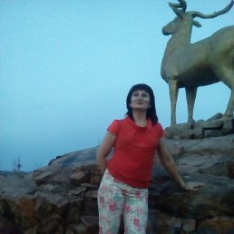 , 53, -