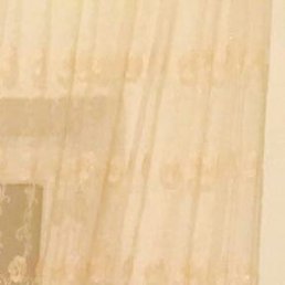 �����, ���������, 37 ���