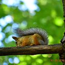���� ������, ������, 57 ��� - ��������� 16 �������� 2018 � ������ ���������� ������