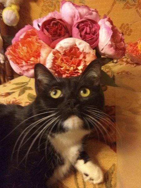 #�������_�����.� 2013 �������� ������, ������ �������,� ������� ������,�������� ��������� �� ����� ...