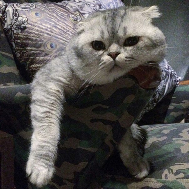   : - 5