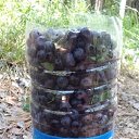  . )))    ,  .  2018.