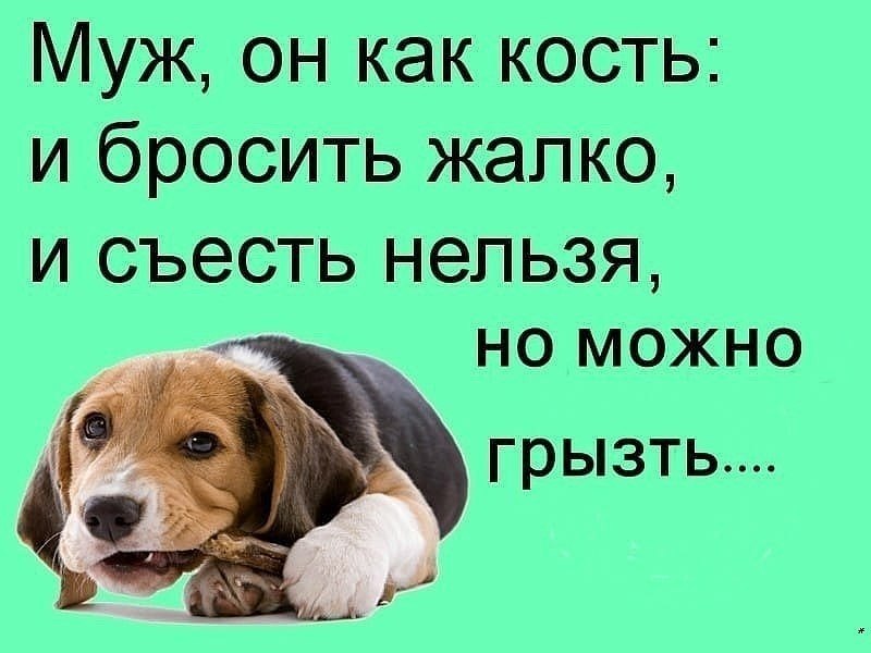 Меня бросил парень. Бросать картинка. Я и сладкое мем. Он ел и бросал ей кусочки. Большой куш кирпич мем.