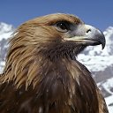 ���� �������, ��������, 50 ��� - ��������� 25 ������ 2019 � ������ ���� ����������