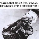 ���� ������, �������, 53 ���� - ��������� 1 ������ 2019 � ������ ���� ����������