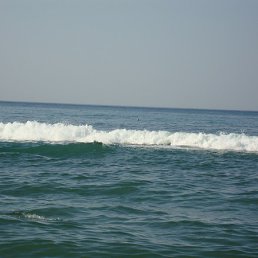 �������, �������, 41 ���