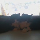 ���� �������, ����-�����������, 67 ��� - ��������� 20 ���� 2018 � ������ ���� ����������