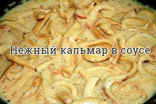 #кальмары.-2-4 тушки кальмара-2 ст.л. сметаны-1 ст.л. муки-1-2 ст.л. сливочного масла-Соль и черный ...