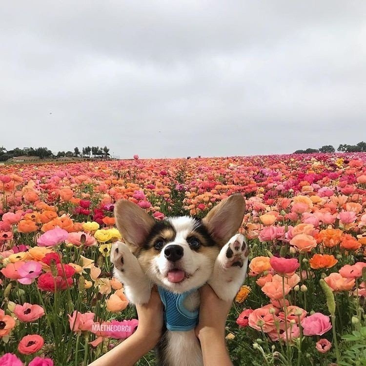  ! - 2
