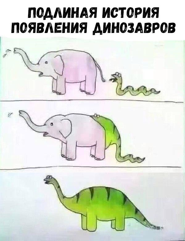    :D - 3  2018  16:28