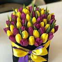 ���� �����, �����, 50 ��� - ��������� 16 ������� 2019 � ������ �������.�
