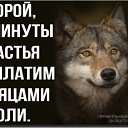 ���� ��������, �������, 65 ��� - ��������� 28 ������ 2019 � ������ ��������� �����