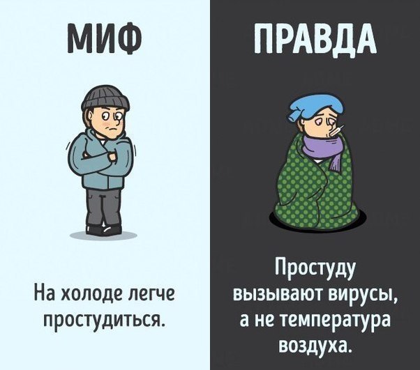 10    ,   .: ADME#@ican - 7
