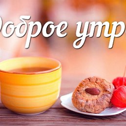 �������, �����, 48 ���