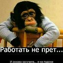 ���� �����, �����������, 62 ���� - ��������� 11 ������ 2019 � ������ ���� ����������