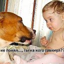 ���� �������, �����������, 71 ��� - ��������� 26 ����� 2019