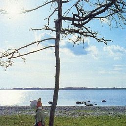 ������, ������ ��������, 65 ���