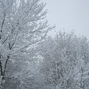 ���� ���������, ���� - ��������� 24 ������� 2018 � ������ �����-��������� ����� ����� �����