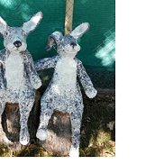 ������, 41 ���, �����