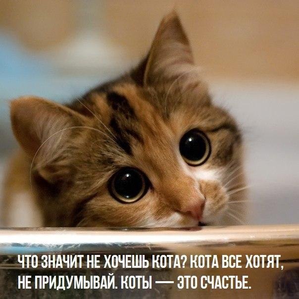    - 6  2019  16:55