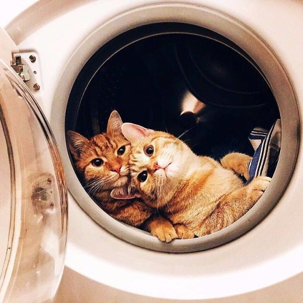 Не важно где, главное — с кем!