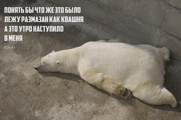 Лаконичный юмор на злобу дня сетевой поэзии с яркими иллюстрациями. - 10