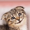 ���� �������, ������, 66 ��� - ��������� 31 ������� 2018 � ������ ������ ��������