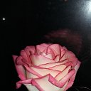 ���� ����, ������, 46 ��� - ��������� 27 ������ 2018 � ������ ���� ����������