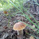 ���� �������, ������������ - ��������� 28 ������ 2018 � ������ �������