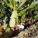  , , 72  -  17  2018    2018.