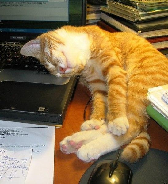 Понедельник. Отдыхаю после выходных на работе
