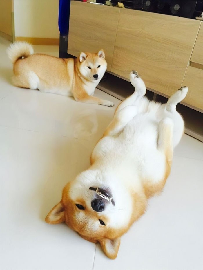  !