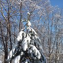 ���� A���, ������ - ��������� 16 ������� 2019 � ������ �������������� ����.�