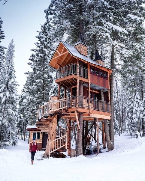 apoe eco, a... a a? Columbia Falls, Montana