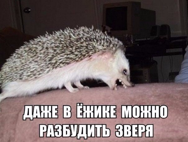   - 11  2019  17:30