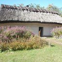  C, , 65  -  8  2018   -.   .