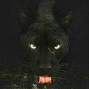 ���� ������, ������������ - ��������� 2 ����� 2019 � ������ ������ ��������