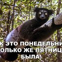 ���� ������, ������, 38 ��� - ��������� 28 ������ 2019 � ������ ���� ����������