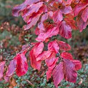 ���� Aleksa, ������, 30 ��� - ��������� 17 ������� 2018 � ������ ������ ��������