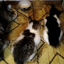 ���� �����, ���� - ��������� 21 ������� 2018 � ������ ���� ��������