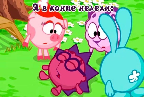 ? ,  ! - 13  2019  16:52