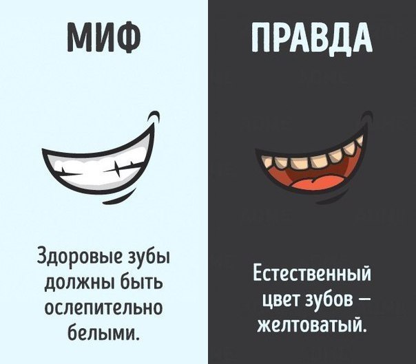 10    ,   .: ADME#@ican - 5