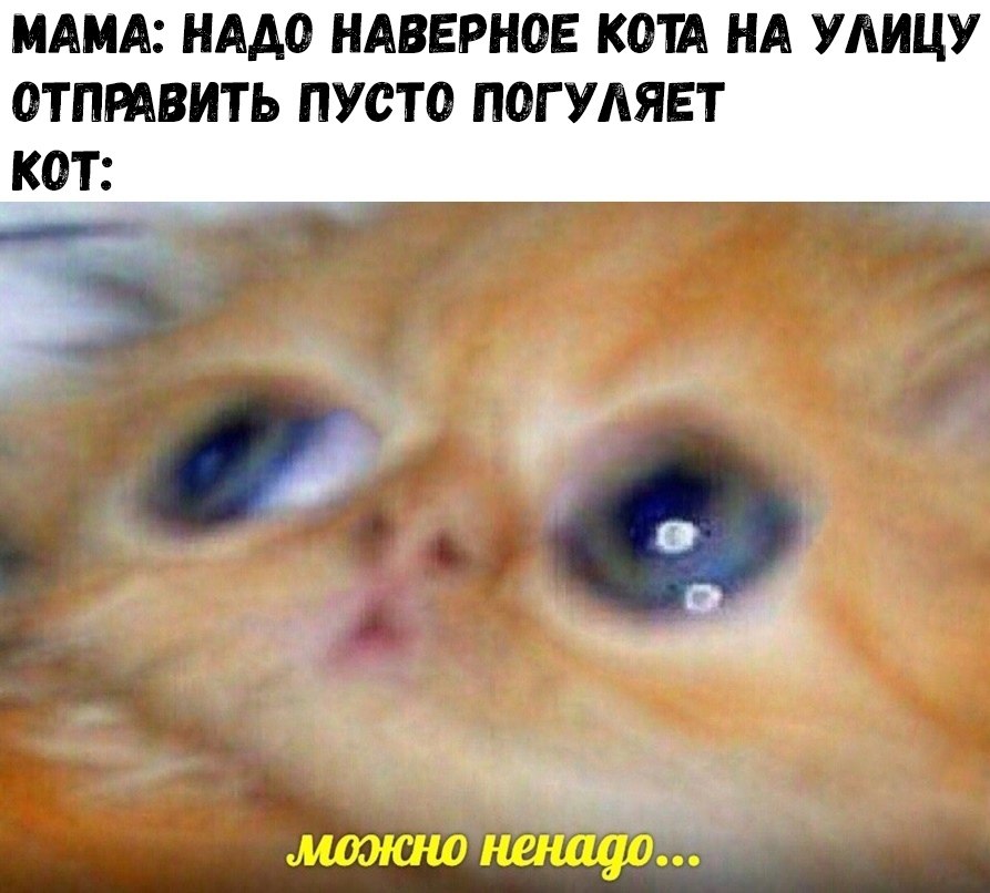    :D - 21  2018  17:12