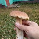 ���� ������, �������, 50 ��� - ��������� 29 �������� 2018 � ������ ���� ����������