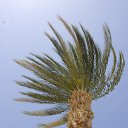 ���� ��������, ������, 78 ��� - ��������� 8 ������ 2019 � ������ ������ ��������