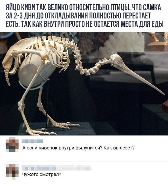    - 17  2018  16:50