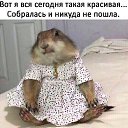 ���� ����, ������, 36 ��� - ��������� 17 ������ 2019 � ������ ������ ��������